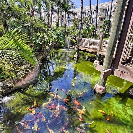 Charming Oceanside Condo With Beach And Pool Access! Buitenkant foto