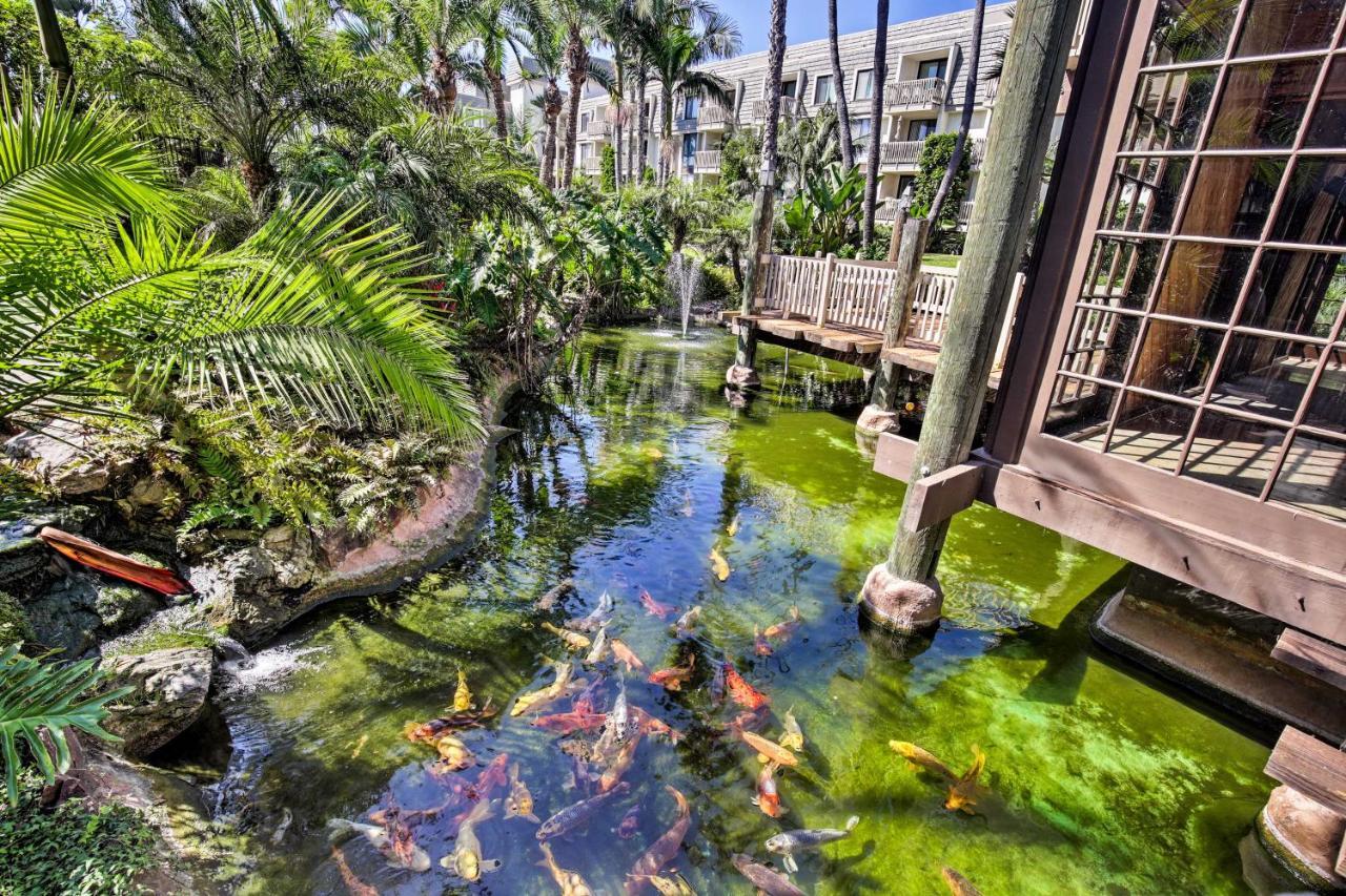 Charming Oceanside Condo With Beach And Pool Access! Buitenkant foto